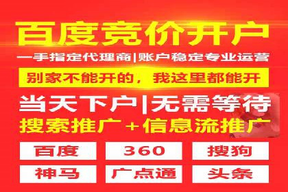 谷歌竞价广告的实时监控与调整策略——某公司经验分享